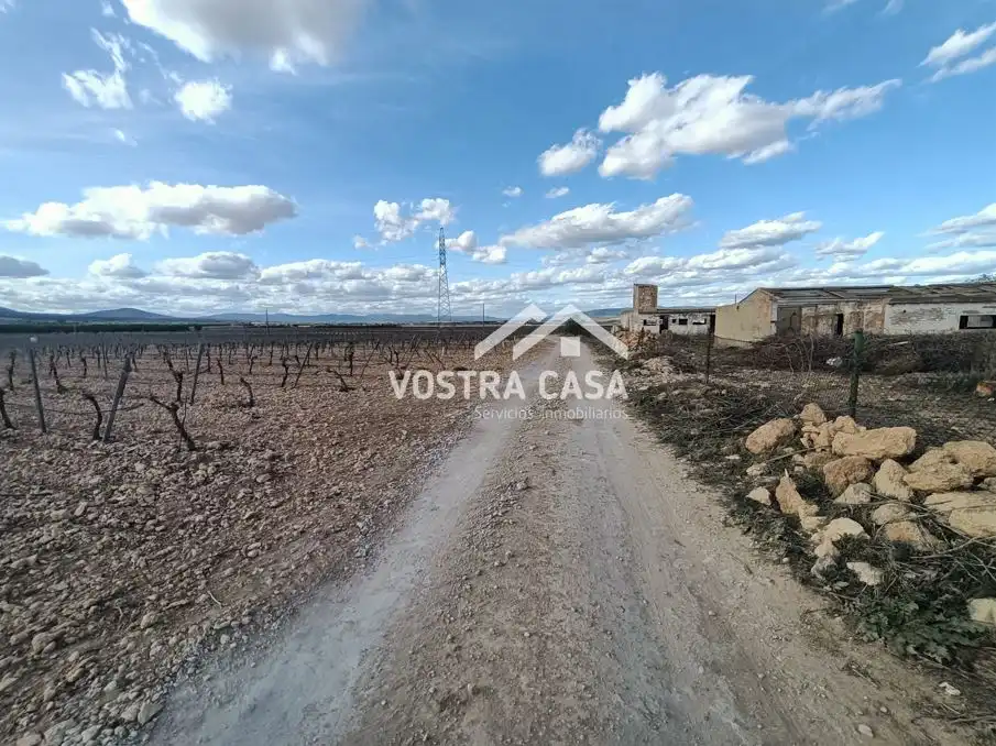 Terreny rústic en venda a PARAJE DE LA CERCA, imagen 21