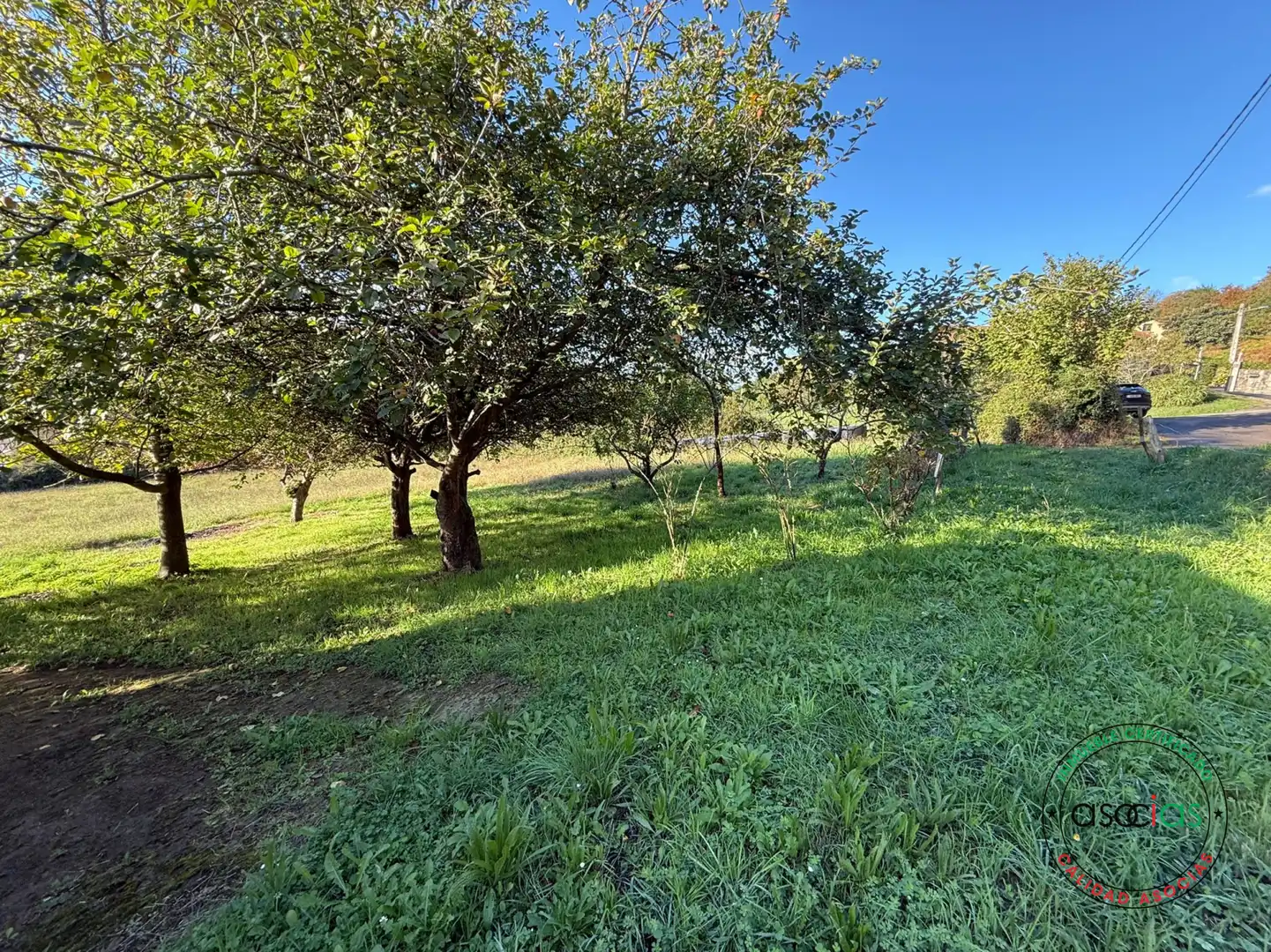 Terreno rustico in vendita a Carreño - Rebollada, imagen 7