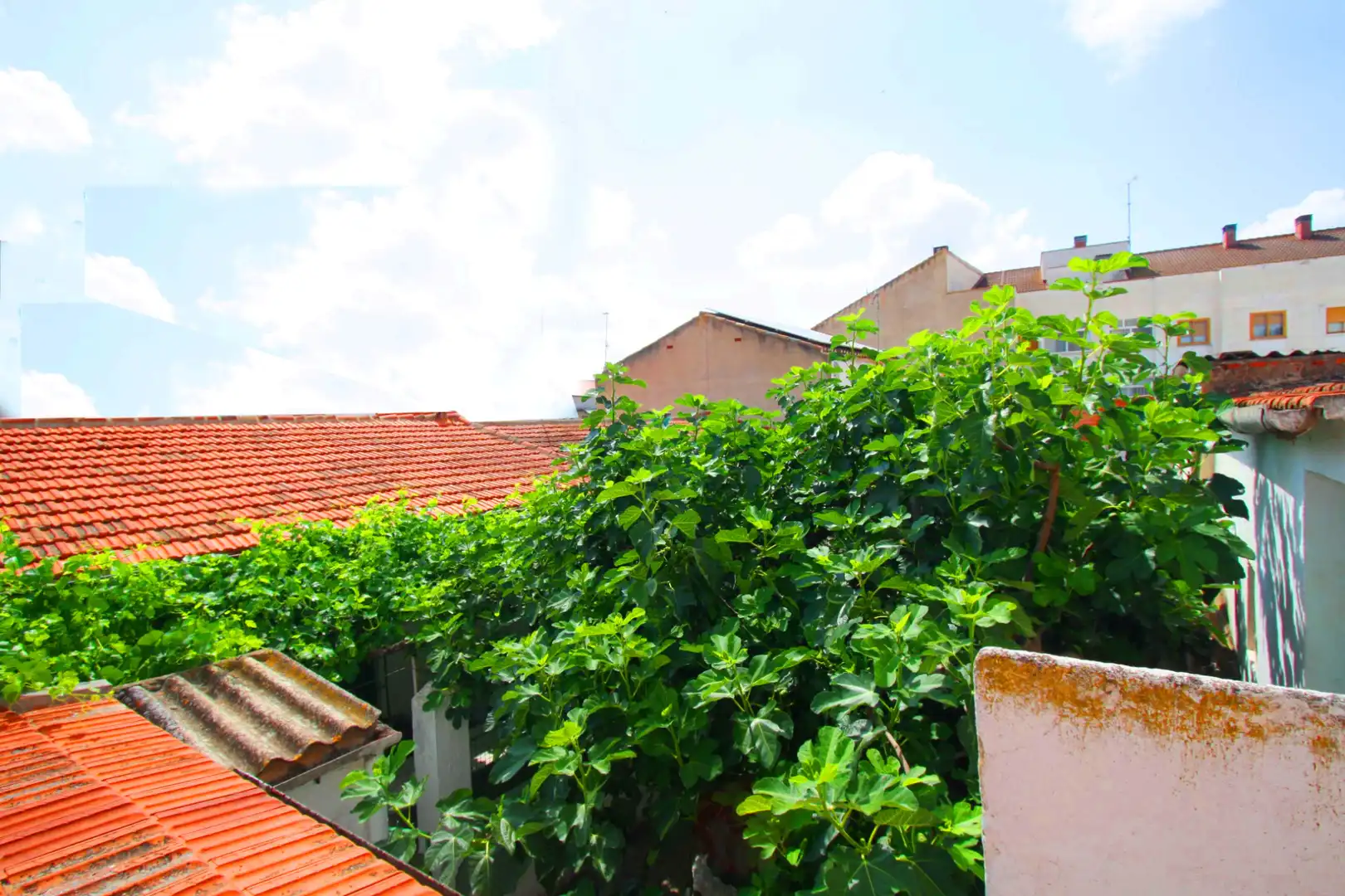 Terrassa de Casa o xalet en venda en Albacete amb Terrassa, Traster i Moblat