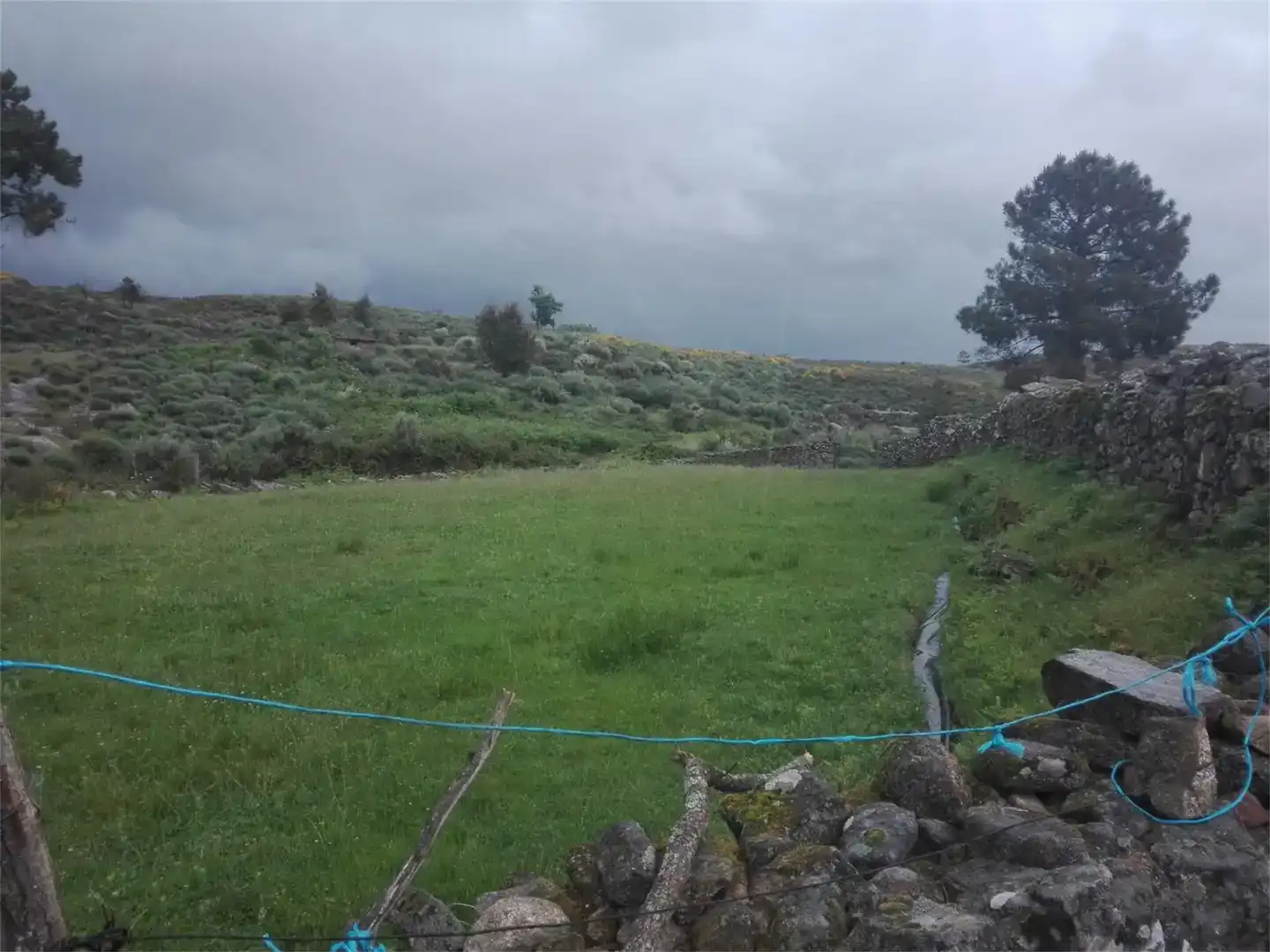 Terreno en venta en Hoyos