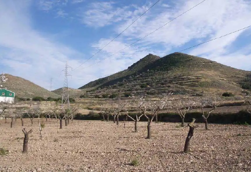 Rustikales Grundstück zum Verkauf in PARAJE LOS PUERTOS Nº 119, imagen 4