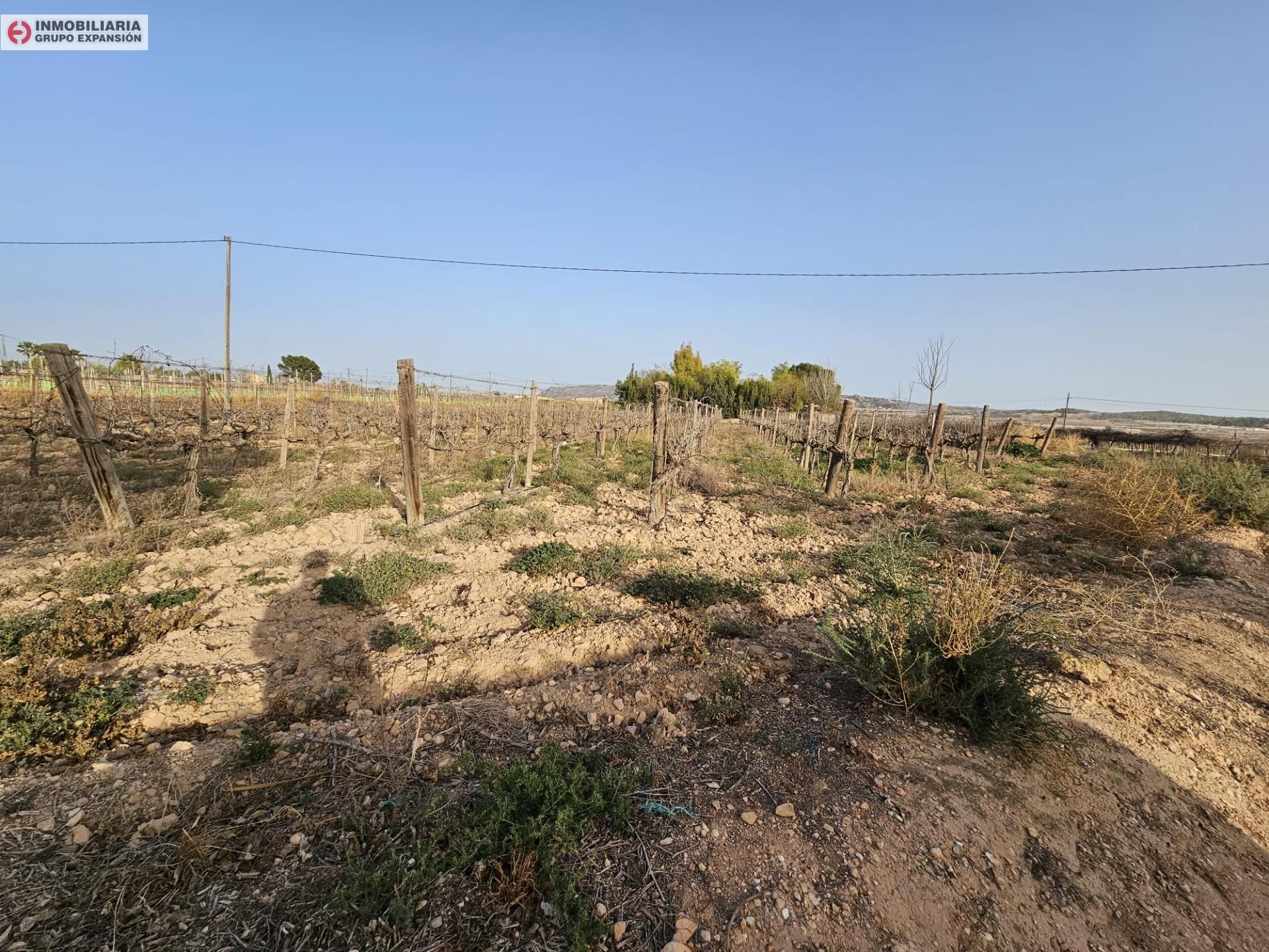 Terreno en venta en Monforte del Cid