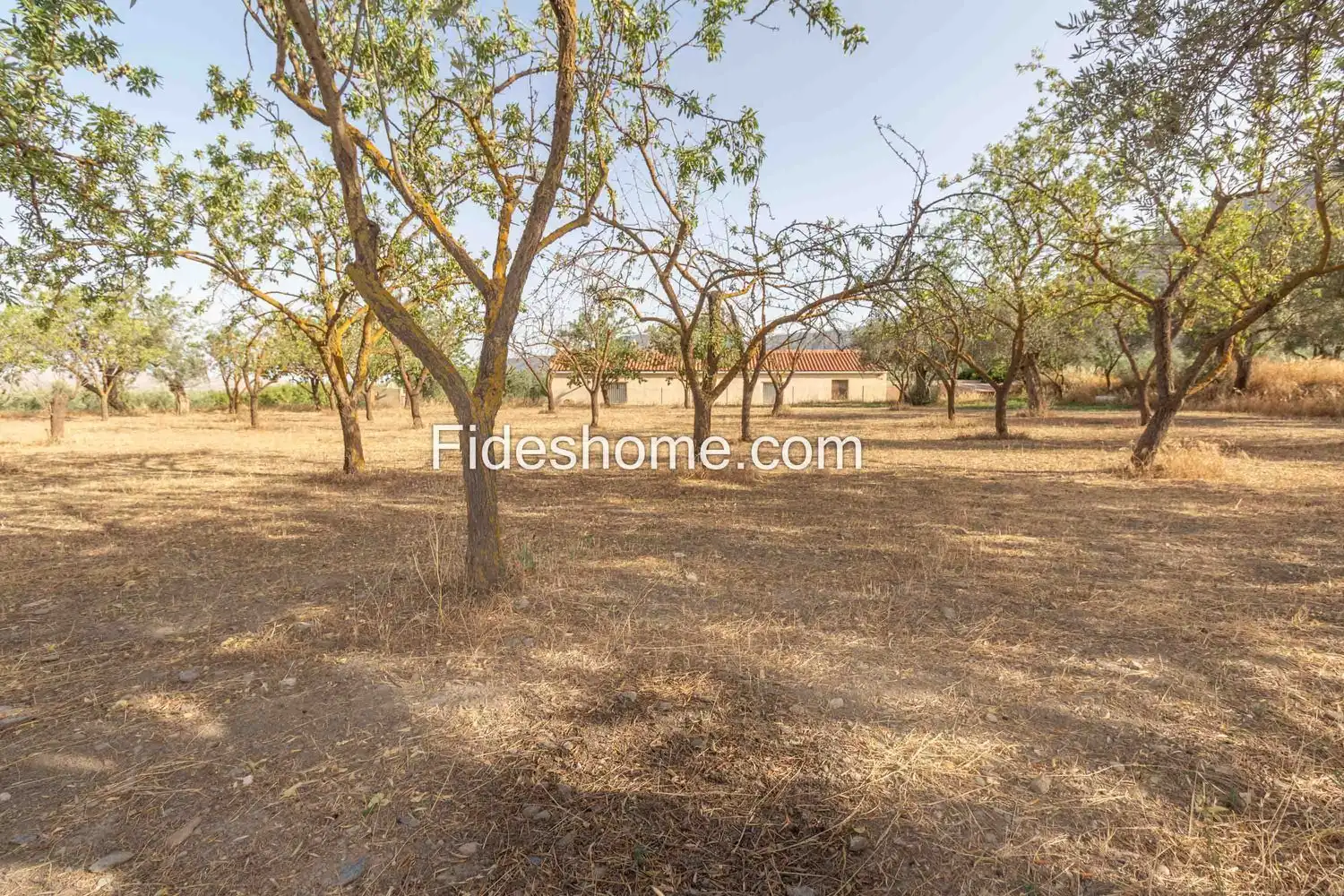 Rural land for sale in XFG2+MG9 Nigüelas 0, imagen 19