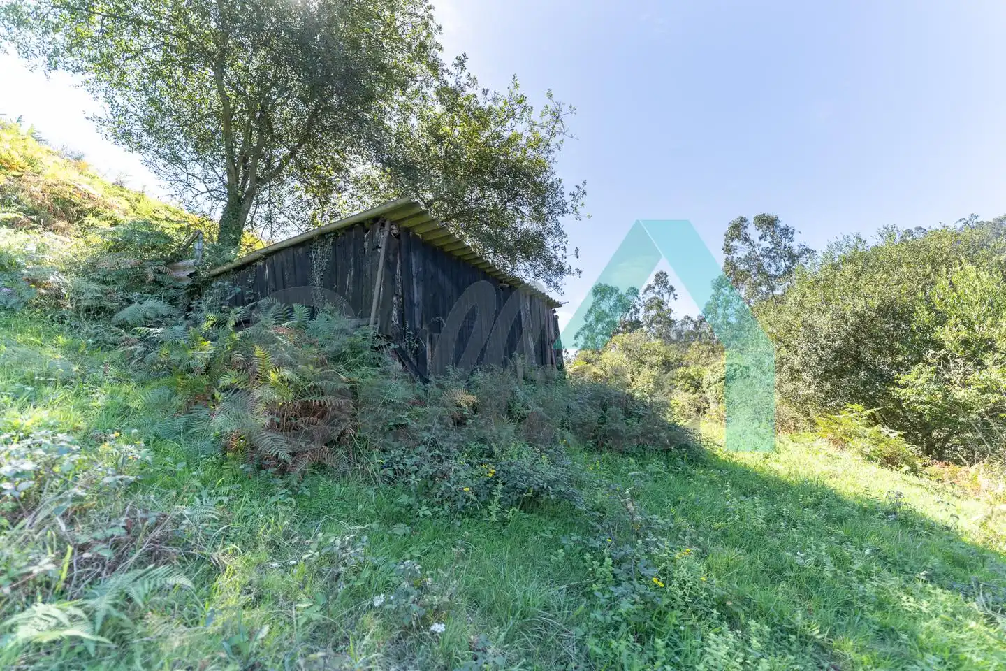 Terreno rustico in vendita a La Vega, imagen 50