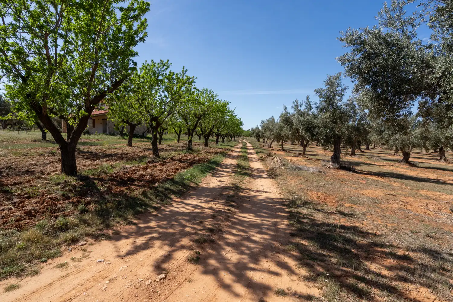 Rural land for sale in Raval dels Àngels 18, imagen 28