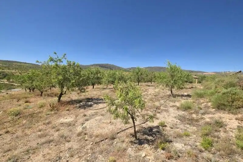 Terreny rústic en venda a Villamena, imagen 34