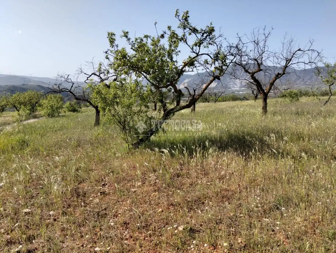 Rural land for sale in Dúrcal, imagen 4