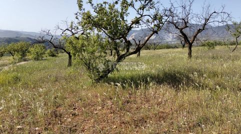 Terrenos en venta en Dúrcal, immagine 4