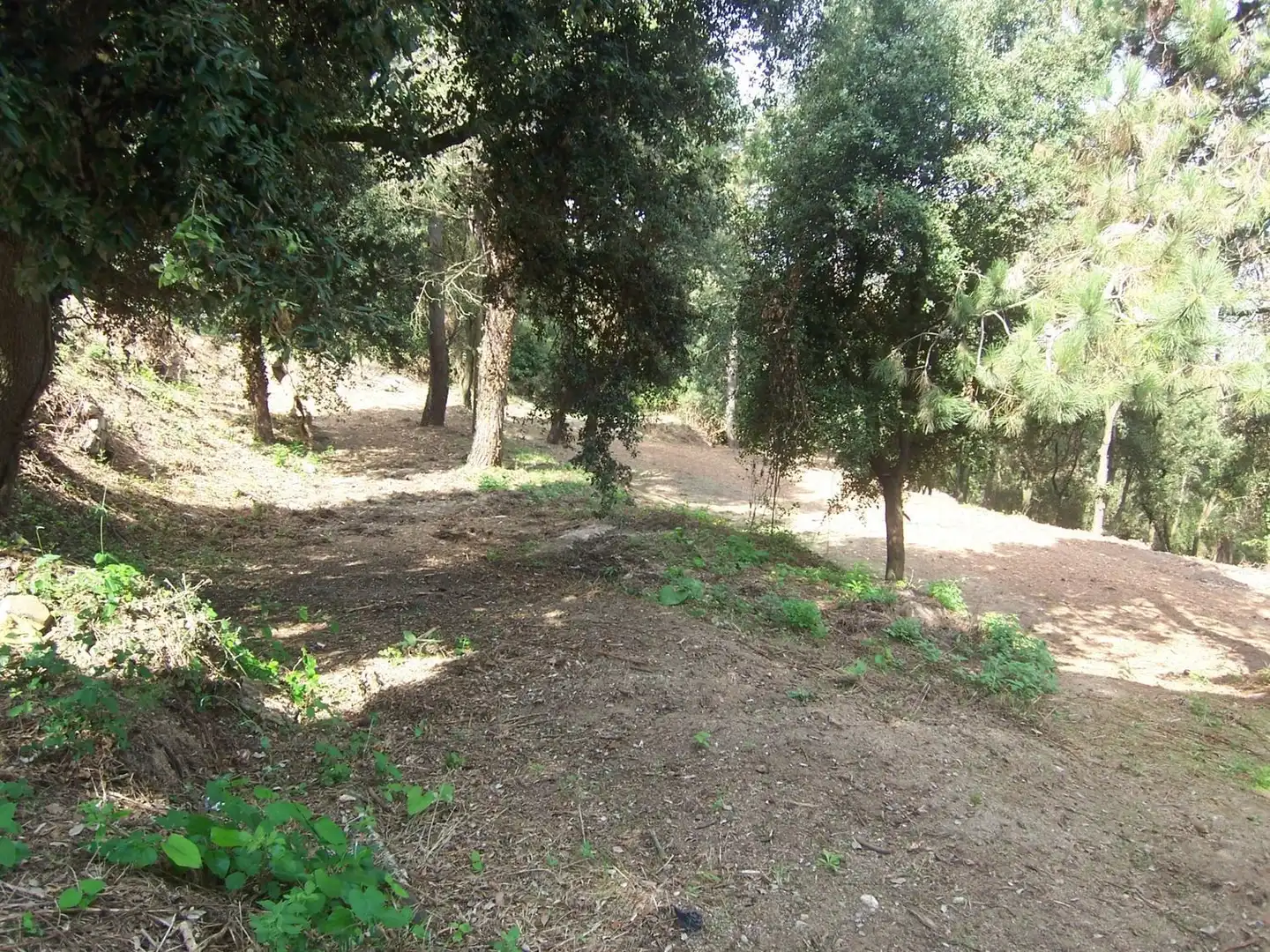 Terreno residencial en venta en Sant Fost de Campsentelles, imagen 4