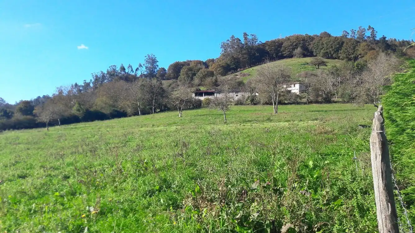 Terrenos y solares en venta en Bode, imagen 17