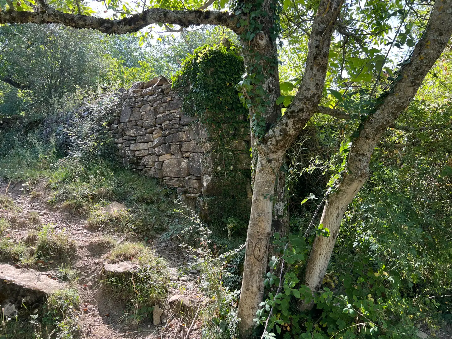 Land for sale in Broto