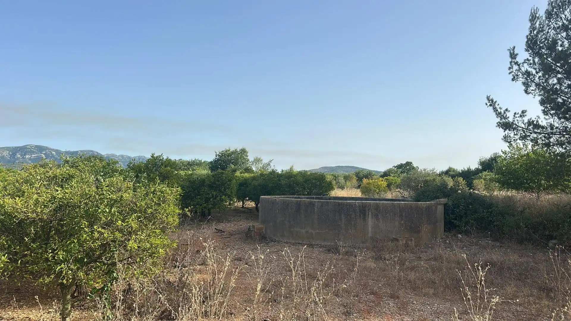 Rural land for sale in Masdenverge, imagen 2