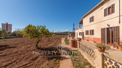 Foto 5 de Casa o xalet en venda a Camí Fred, Sa Indioteria Rural, Palma de Mallorca