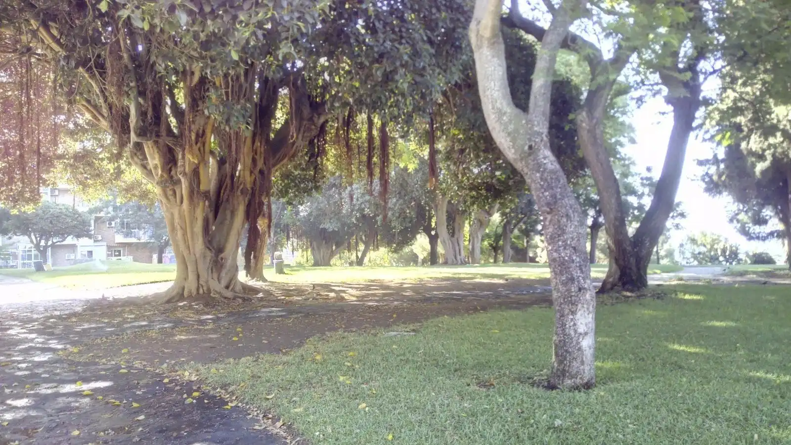 Studio with pool for sale in Parque de la Paloma, imagen 9