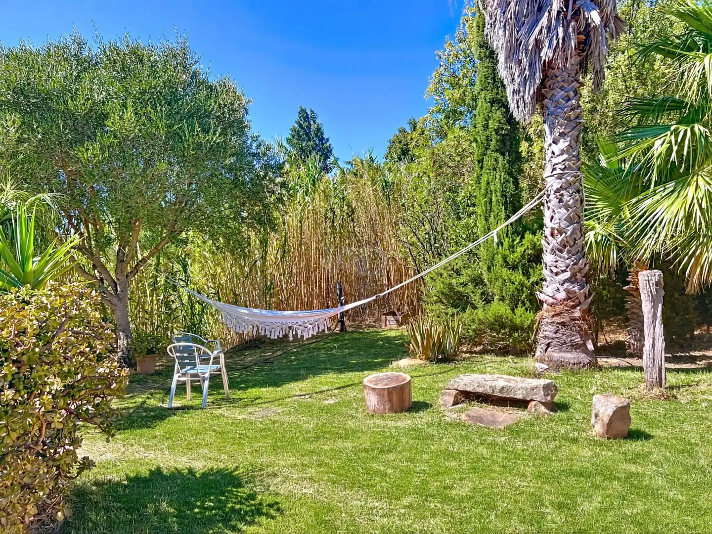 Jardín de Casa o chalet en venta en Tarifa con Terraza