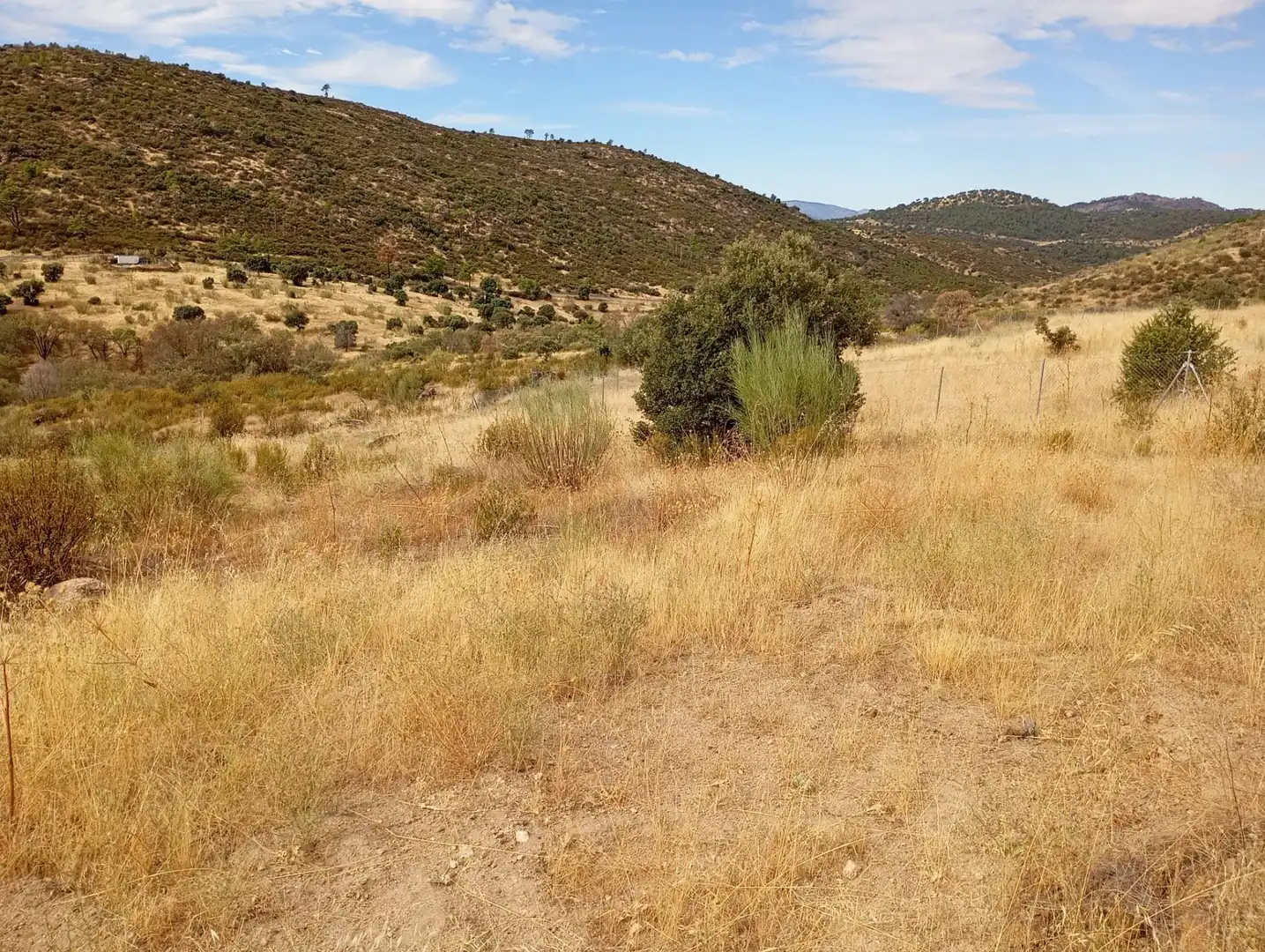 Terrenos y solares en venta en Robledo de Chavela, imagen 22