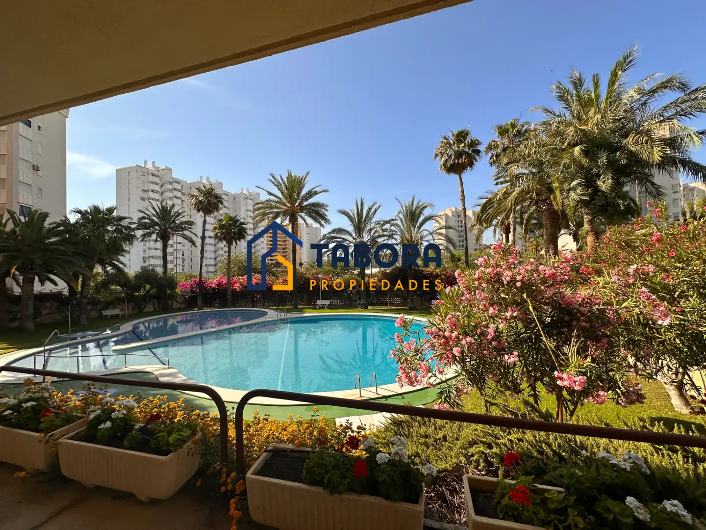 Piso con terraza en alquiler en Avinguda de la Costa Blanca, imagen 3