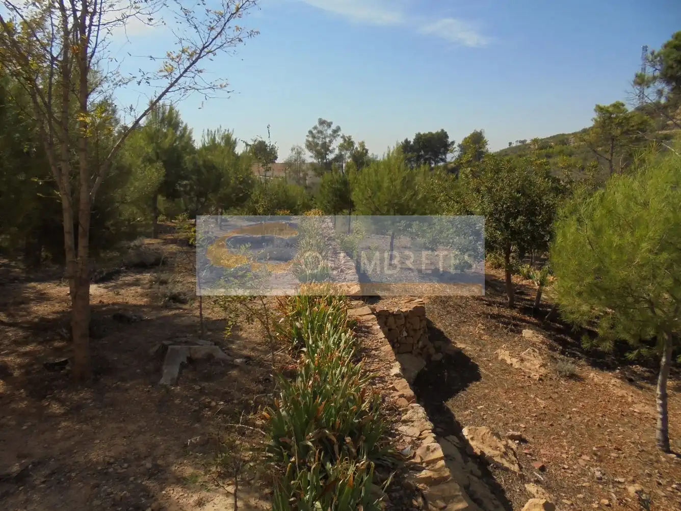 Casa o chalet en venta en Castellón de la Plana / Castelló de la Plana con Jardín privado, Terraza y Trastero