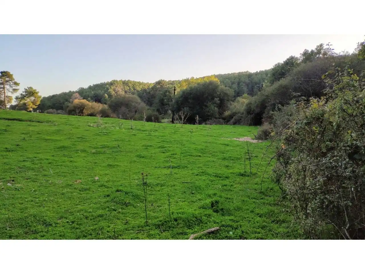 Residencial en venta en Las Navas del Marqués 