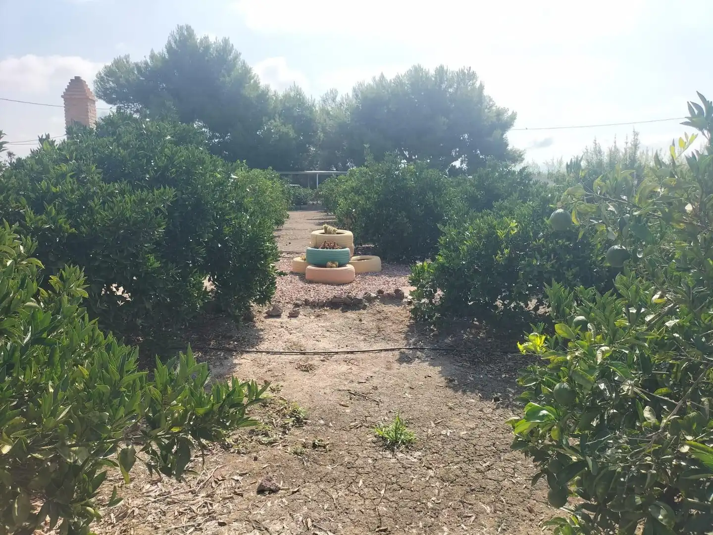 Xalet amb piscina en venda a Formentera del Segura, imagen 37