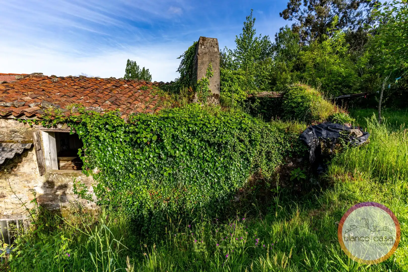 Exterior view of Houses for sale in Carballo