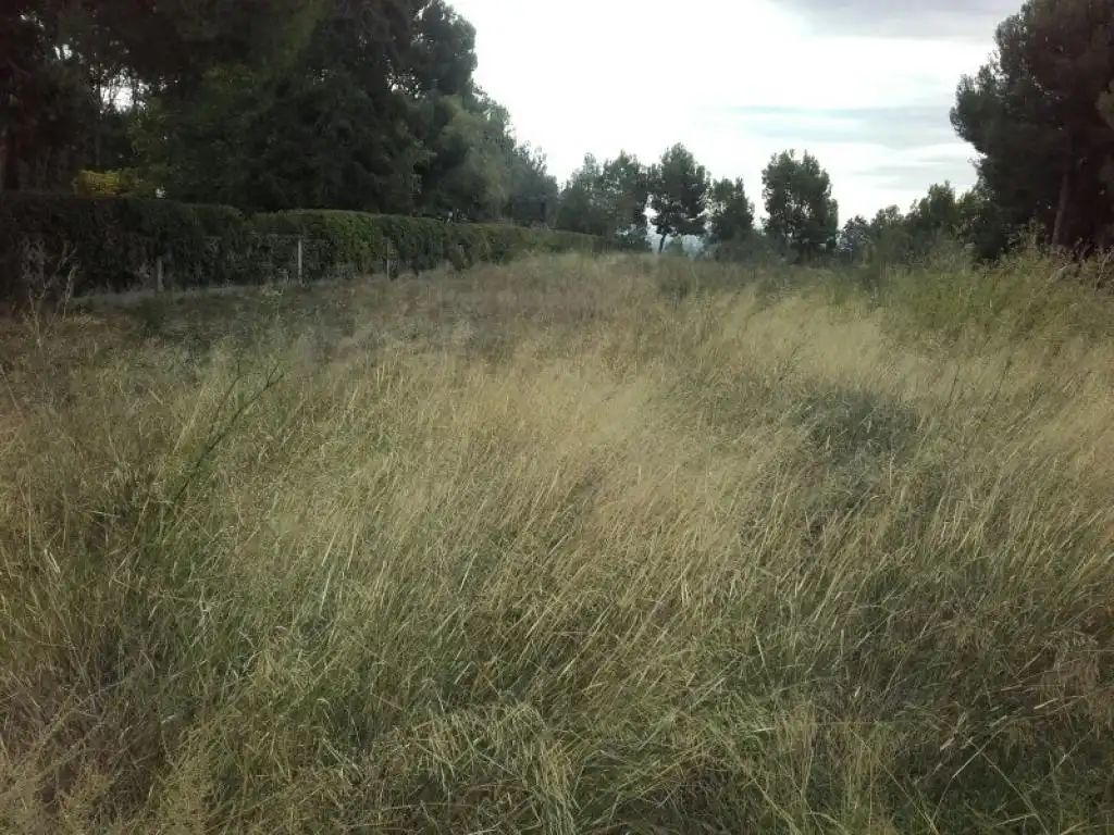 Rural land for sale in PARTIDA PLA DE LA CERDERA, imagen 6