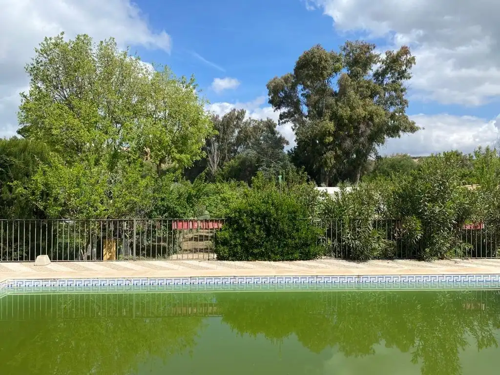 Piscina de Finca rústica en venta en Baena con Jardín privado, Terraza y Piscina