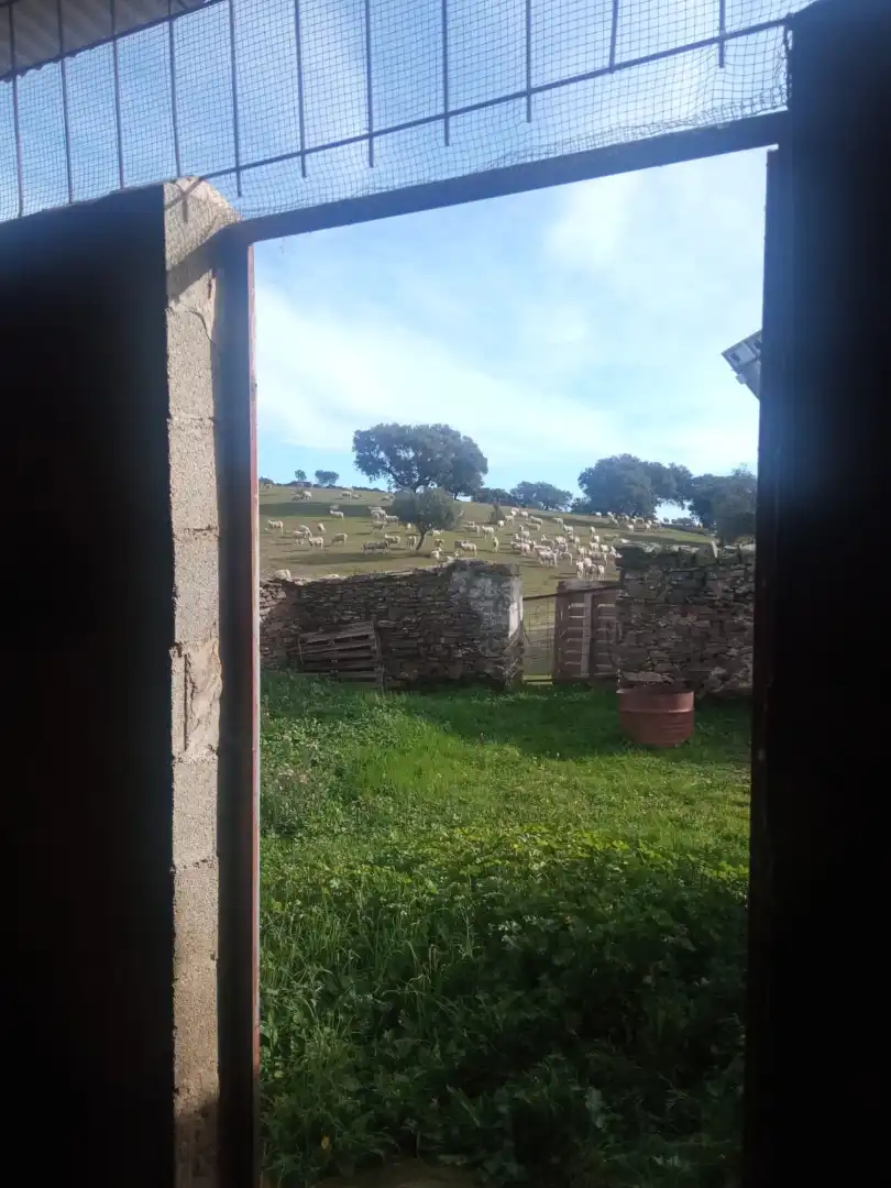 Garden of Land for sale in Cardeña