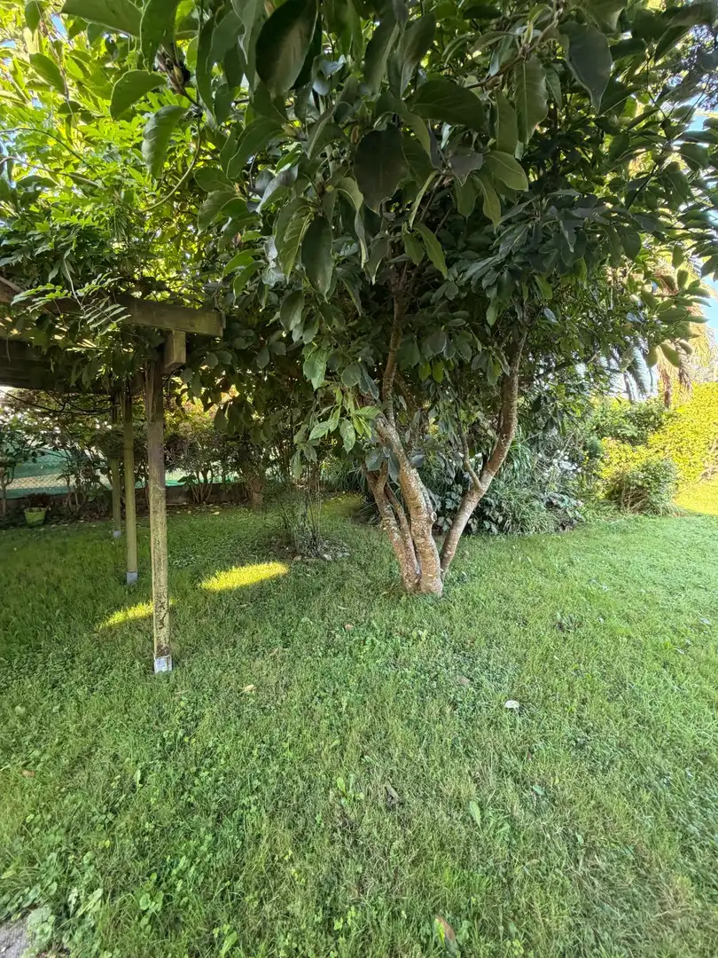Xalet amb jardí en venda a Barrio del Villar, imagen 33