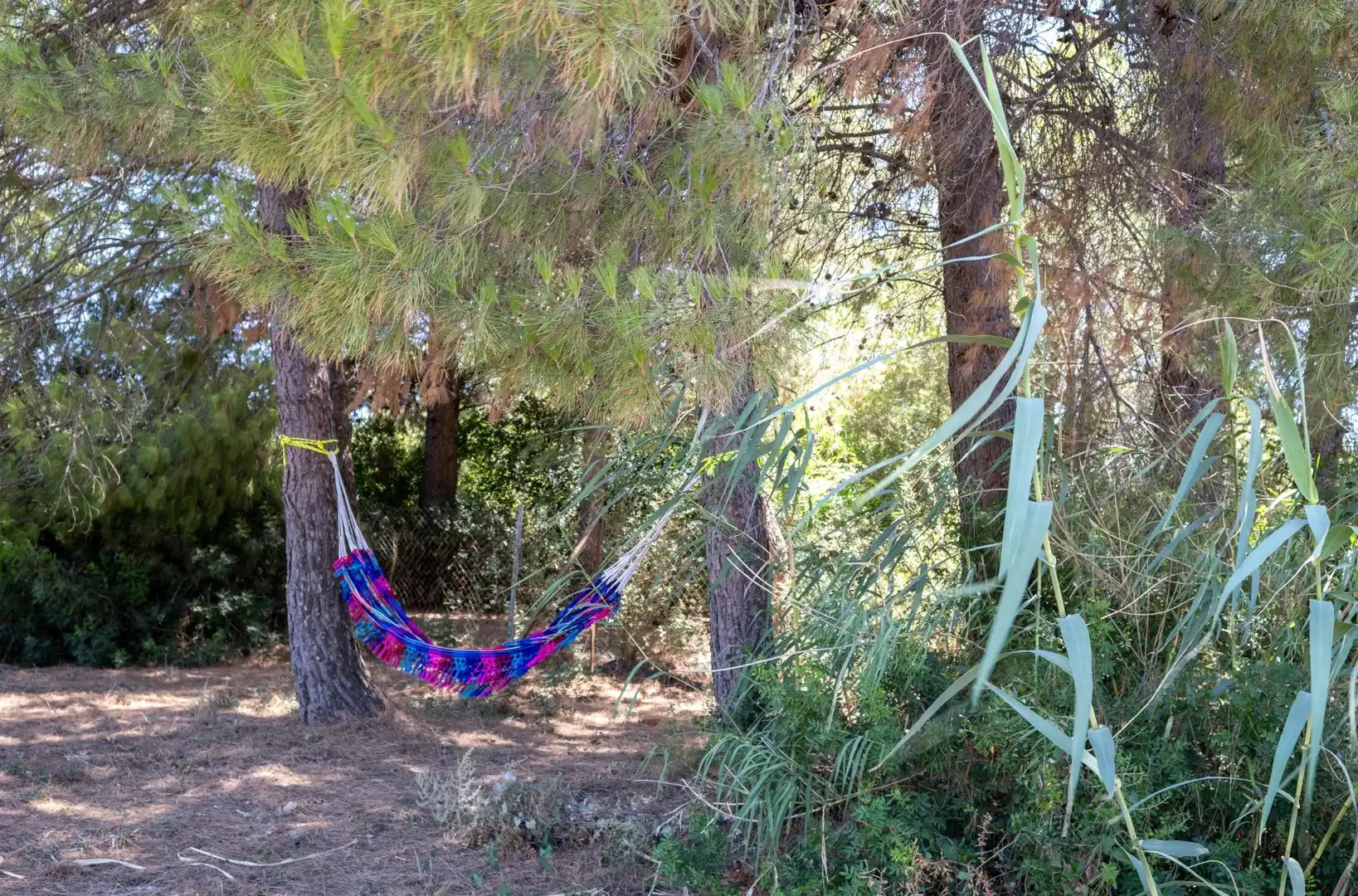 Terrenys i solars en venda a Santiago - Coronación, imagen 48