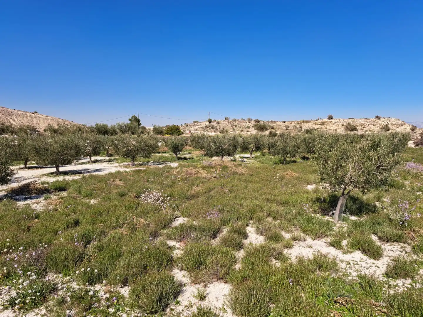 Terreno rustico in vendita a Plaça Industrial Garganta, imagen 9