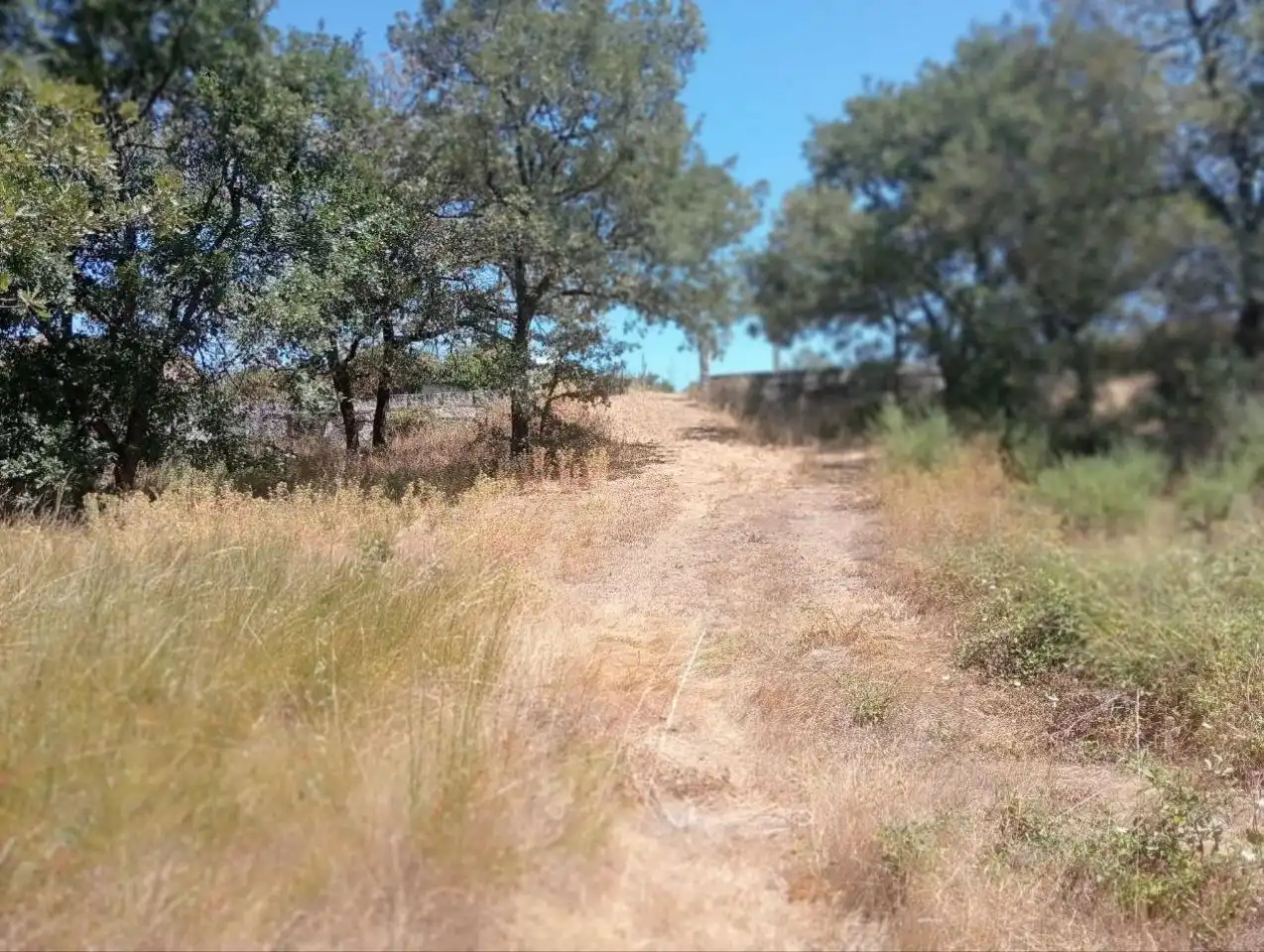 Grundstücke zum Verkauf in Ourense Capital 