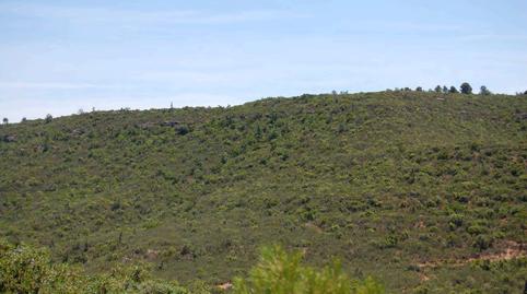Foto 3 de Finca rústica en venta en N/a, La Granadella, Lleida