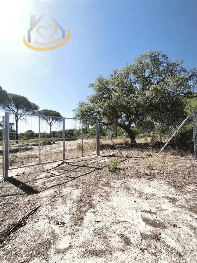 Terreni e lotti in vendita a Moguer