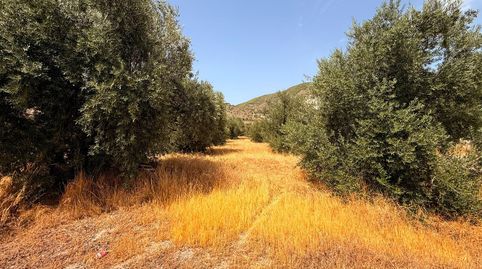 Padul, terreno urbano no consolidado, immagine 4
