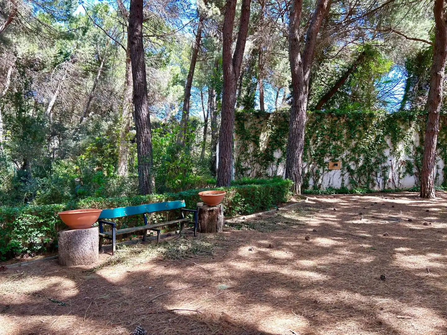 Jardín de Casa o chalet en venta en Albacete con Aire acondicionado, Calefacción y Trastero