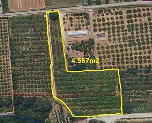 Land for sale in Barxeta