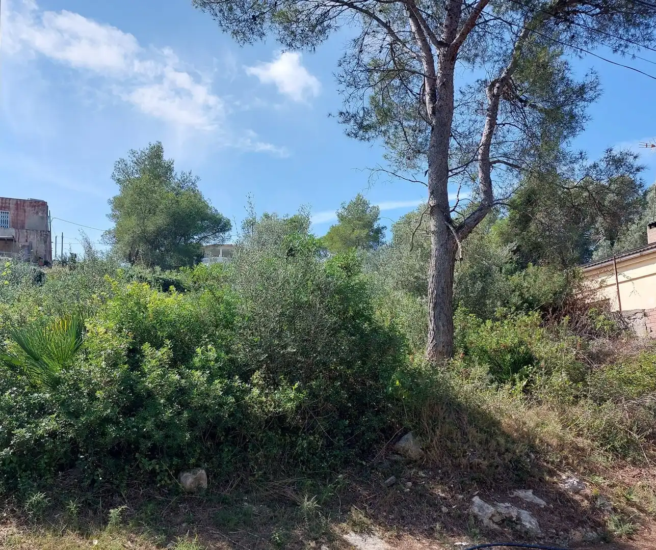 Terrenos y solares en venta en Canyelles