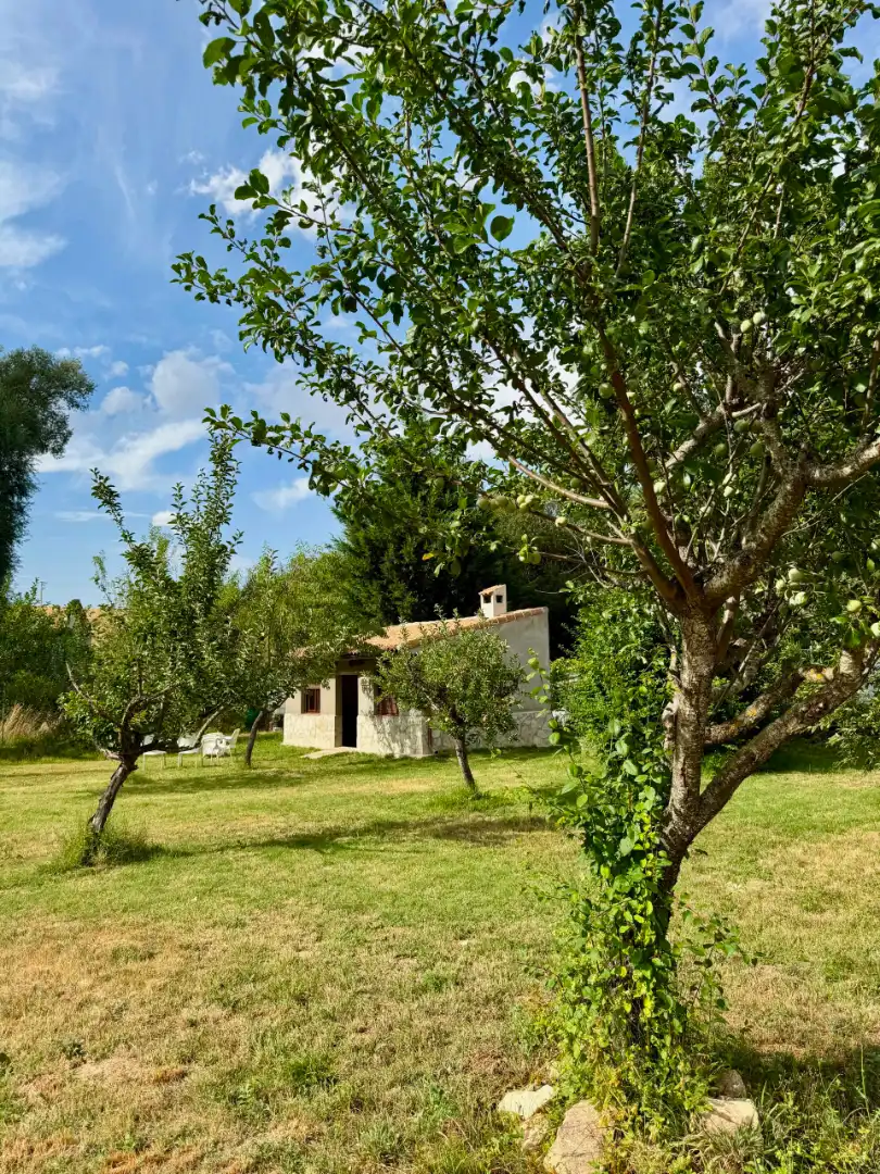 Jardín de Finca rústica en venta en Sepúlveda con Jardín privado, Trastero y Amueblado