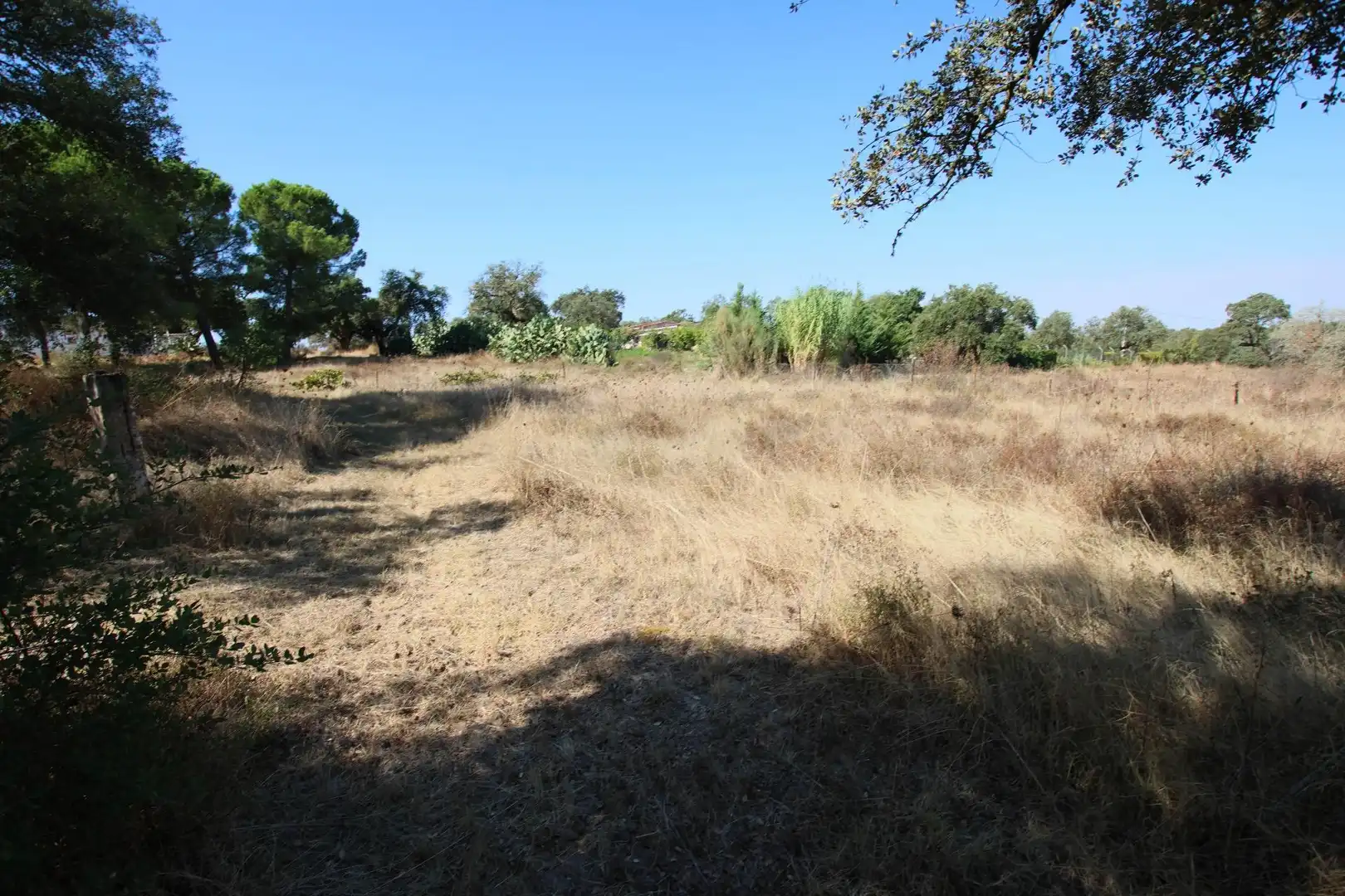 Finca rústica en venda en Badajoz amb Traster i Piscina