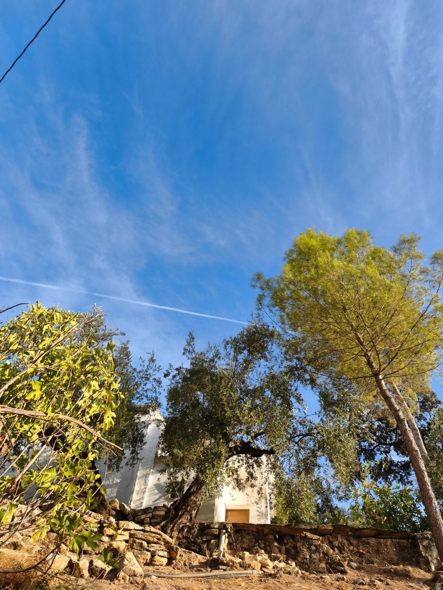 Vista exterior de Finca rústica en venta en Iznájar