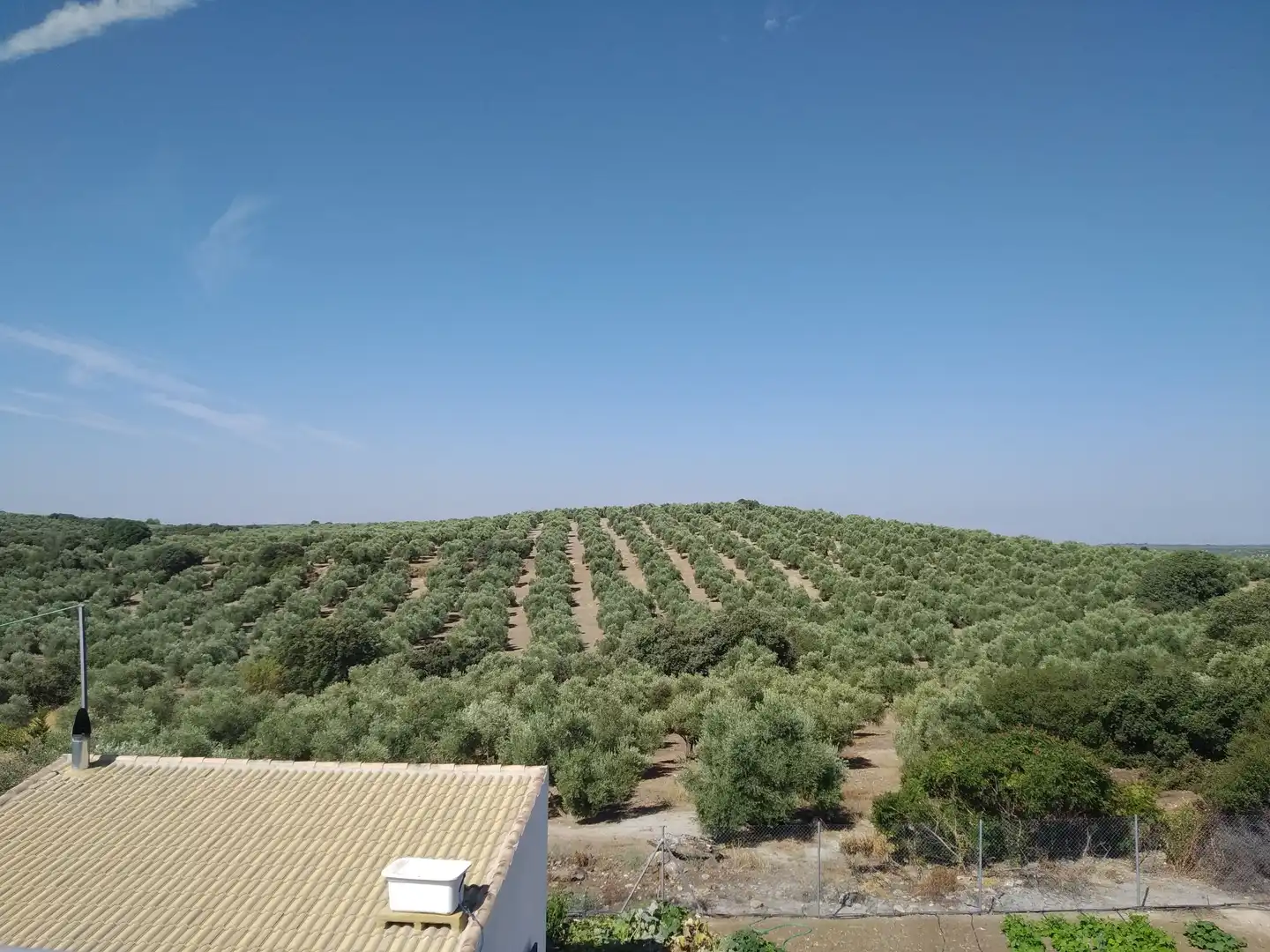 Casa o xalet en venda en Úbeda amb Aire condicionat, Terrassa i Traster