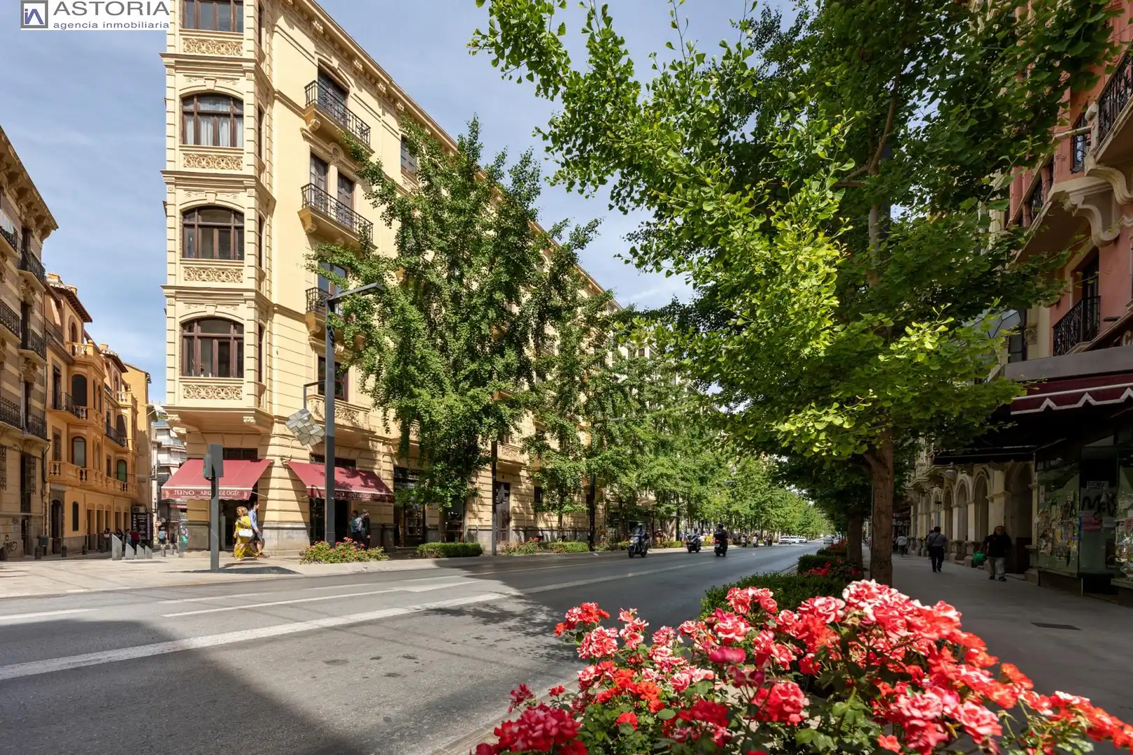 Vista exterior de Ático en venta en Granada con Balcón