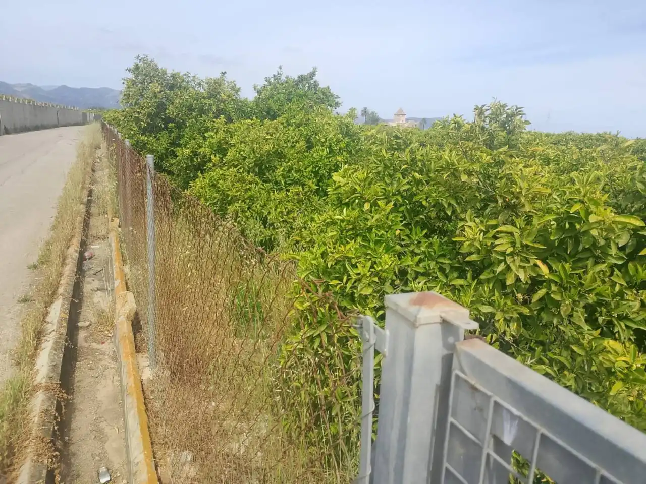 Rural land for sale in Camino Torre de los Pares, imagen 10