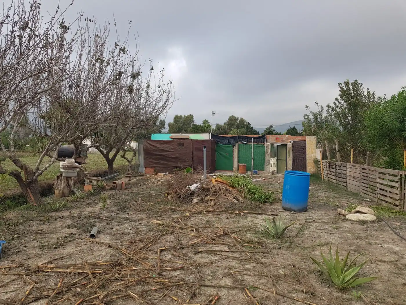 Maison rustique à vendre à Eucaliptus- Poble Nou del Delta, imagen 37