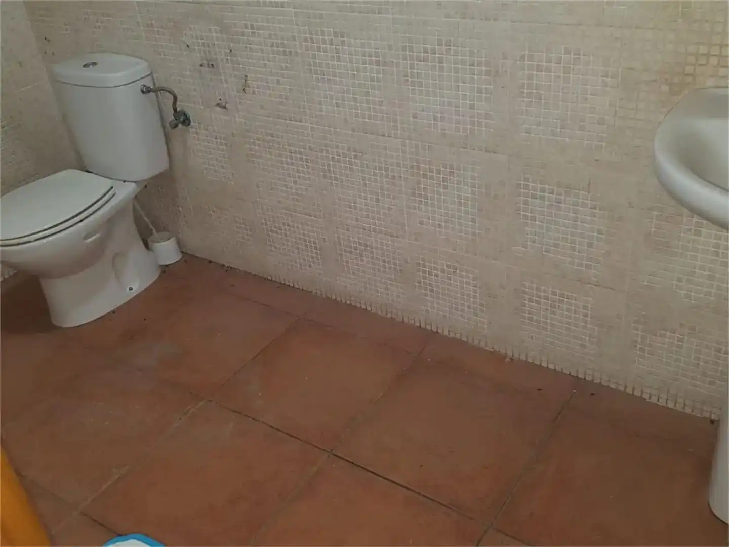 Bany de Local de lloguer en Benifaió