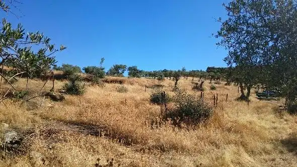 Terreni e lotti in vendita a Miralvalle - Av. Virgen del Puerto - La Data, imagen 17