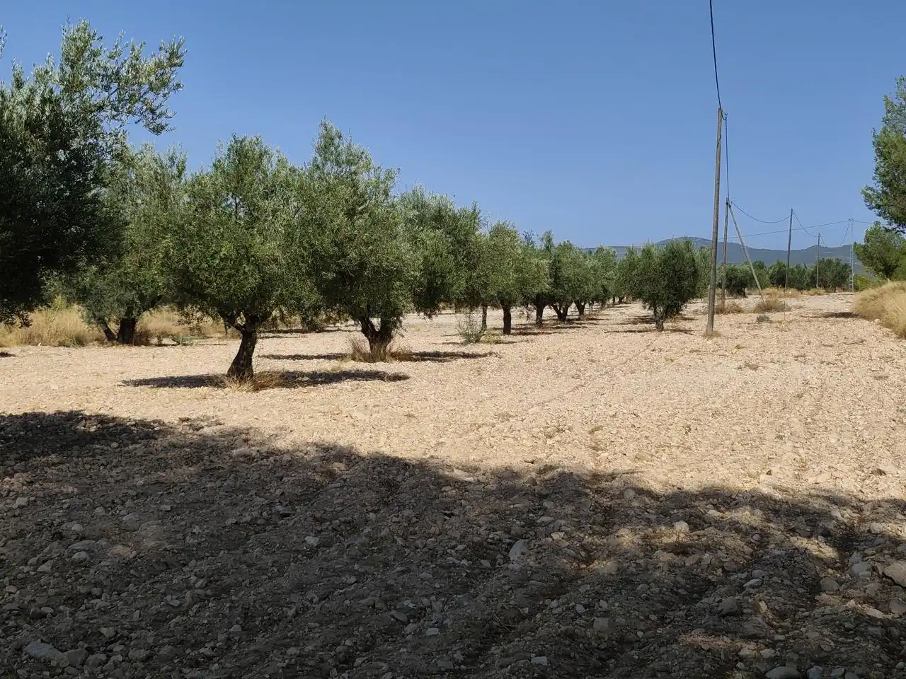 Terreno rustico in vendita a Castalla, imagen 29