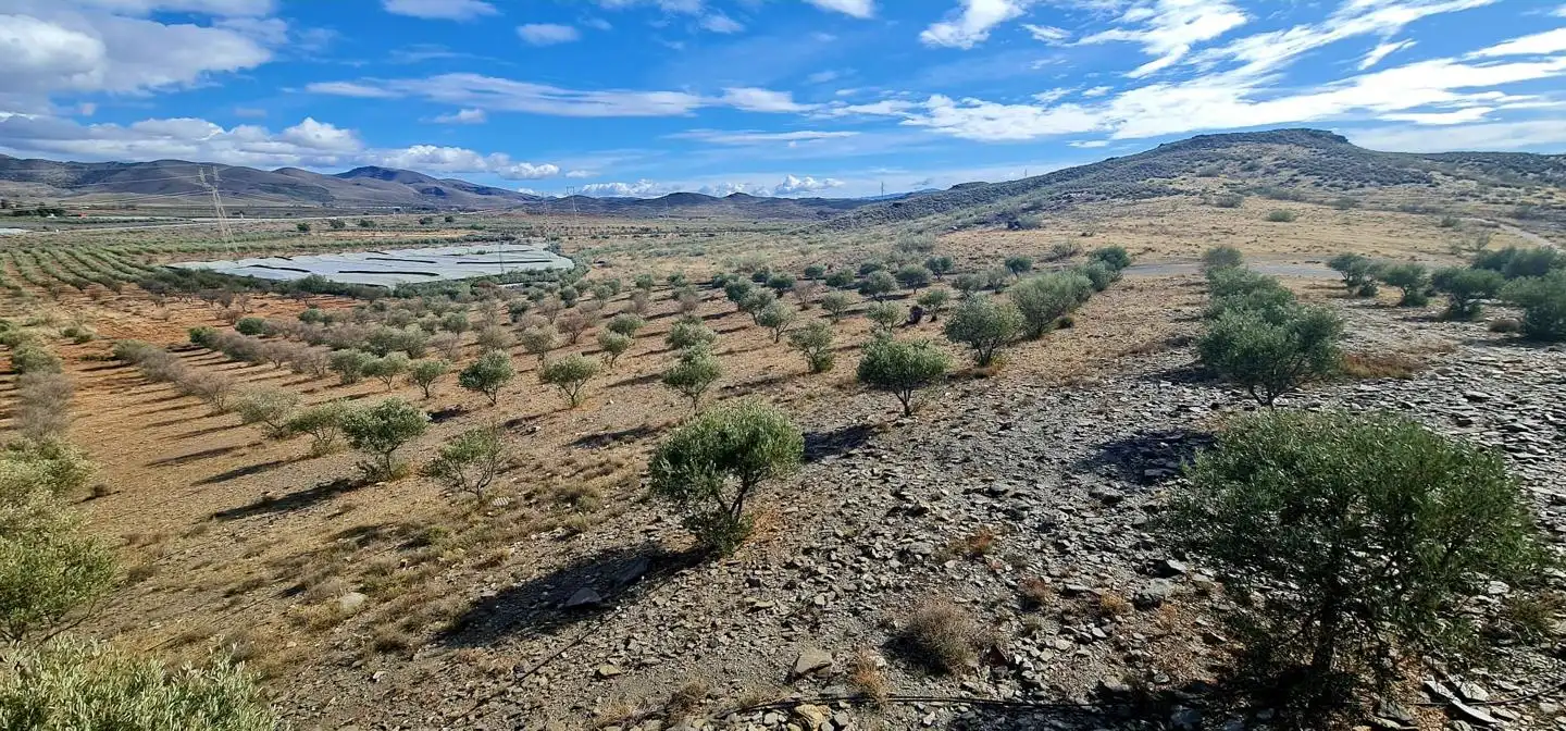 Lands and plots for sale in Campo de Gergal, imagen 15