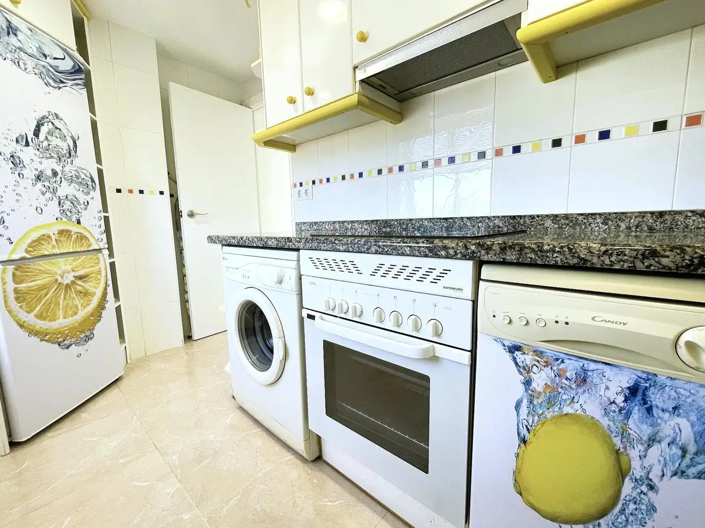 Apartments for rent in Paseo MARITIM NEPTU, 53, Playa de Gandia
